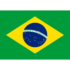 Флаг Бразилия купить цена Москва Санкт-Петербург Россия СПб доставка заказ заказать производство производитель изготовитель оптом оптовый продажа